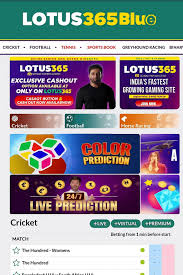 Lotus365 Blue Safe Betting Tips 